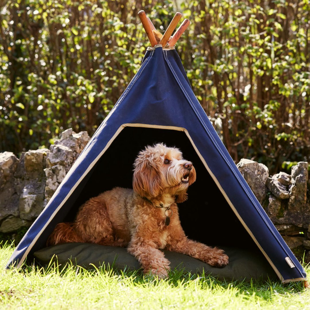 Looking for Dog Sun Shade? Why Dog Teepees Are the Perfect Solution - Pooch and Paws
