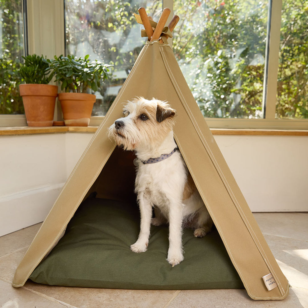 Dog Teepee Bed combination