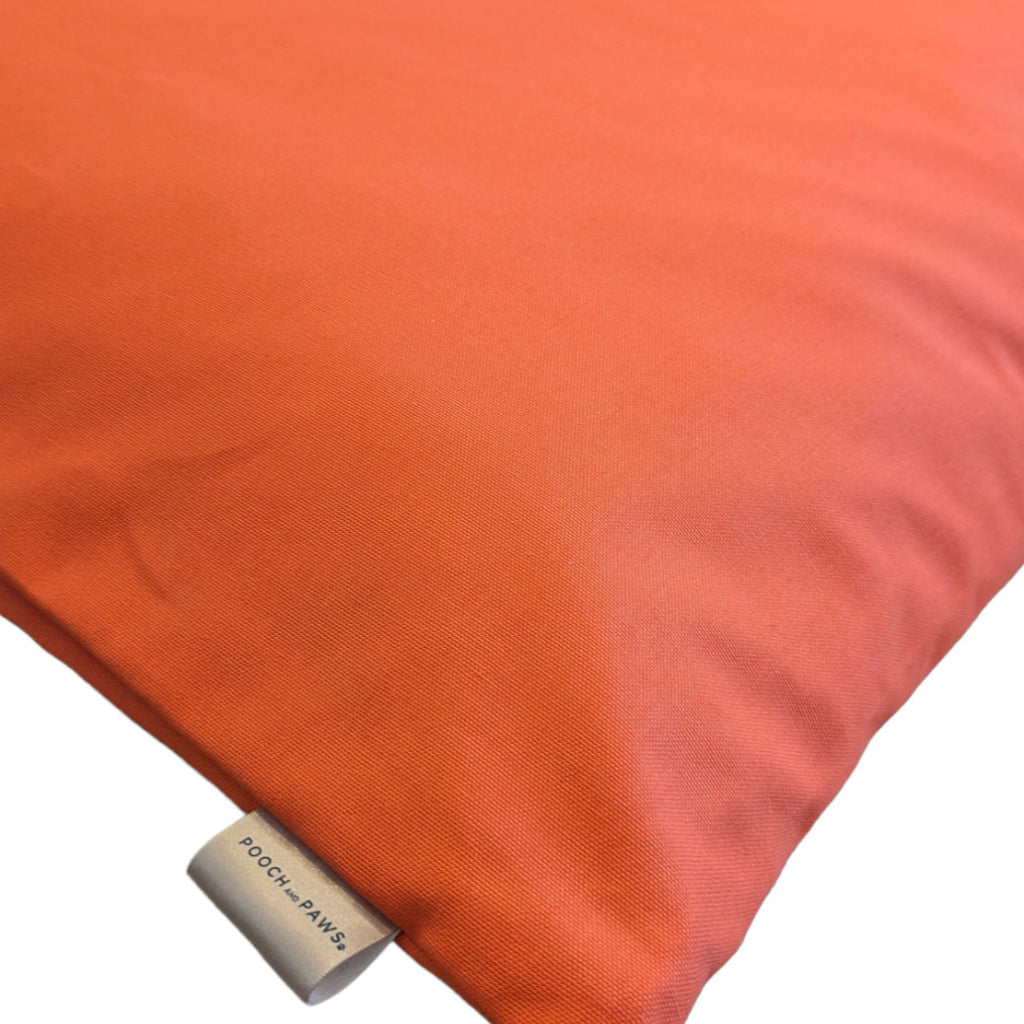 Pooch and Paws label in dog cushion. Orange colour. 