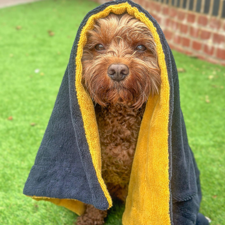 Christmas Dog Towel. Navy and Yellow, bamboo & cotton blend. Christmas gift idea for dogs 