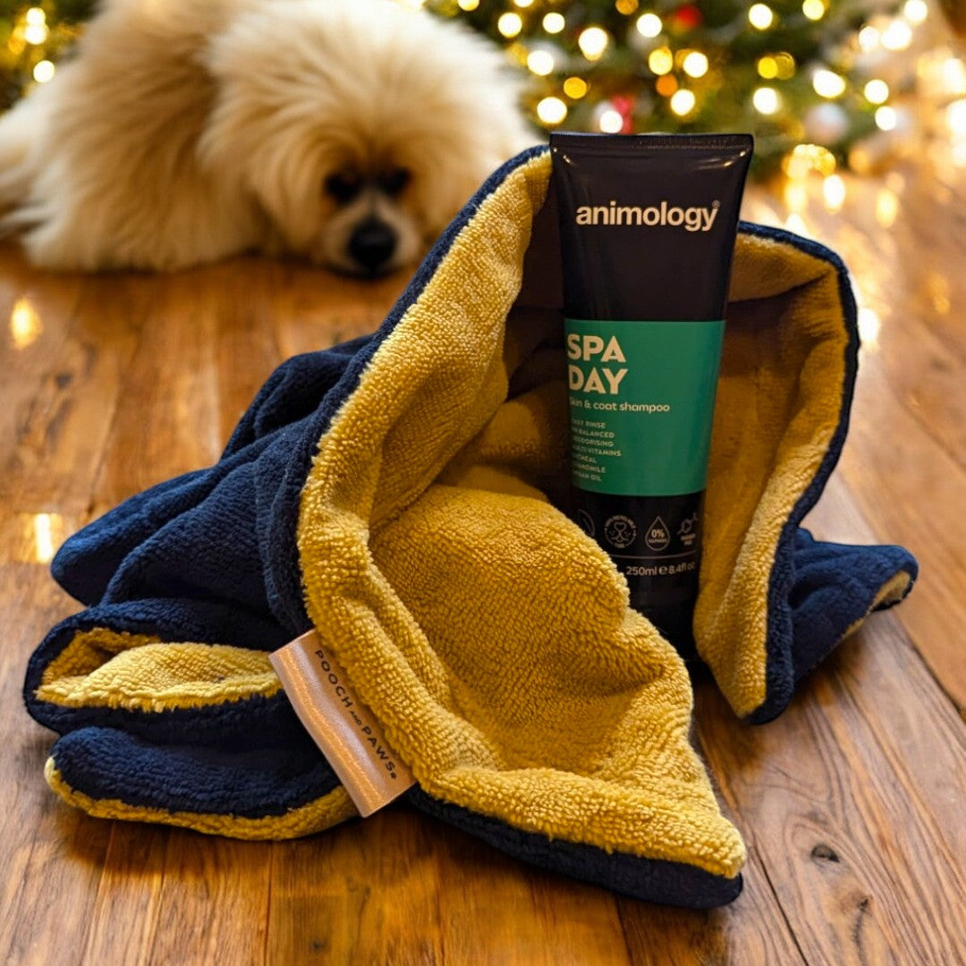 Dog Christmas Gift. Luxury dog towel and dog shampoo combined in christmas setting with dog in the background