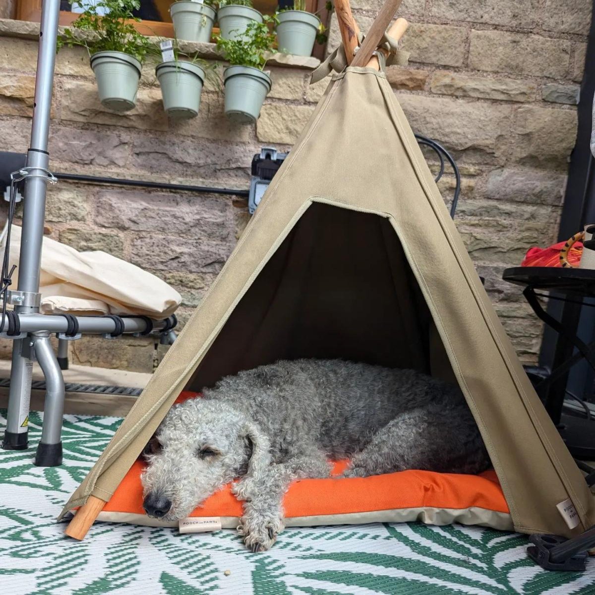 Dog Teepee and Cushion Bed combinations Pooch and Paws