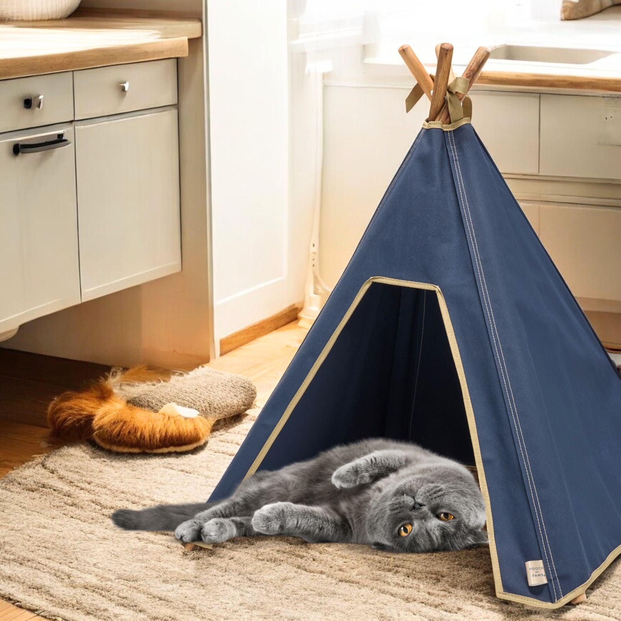 Cat Tent - Indoor Cat Teepee Tent - 100% Cotton Canvas (Navy Blue) - Pooch and Paws