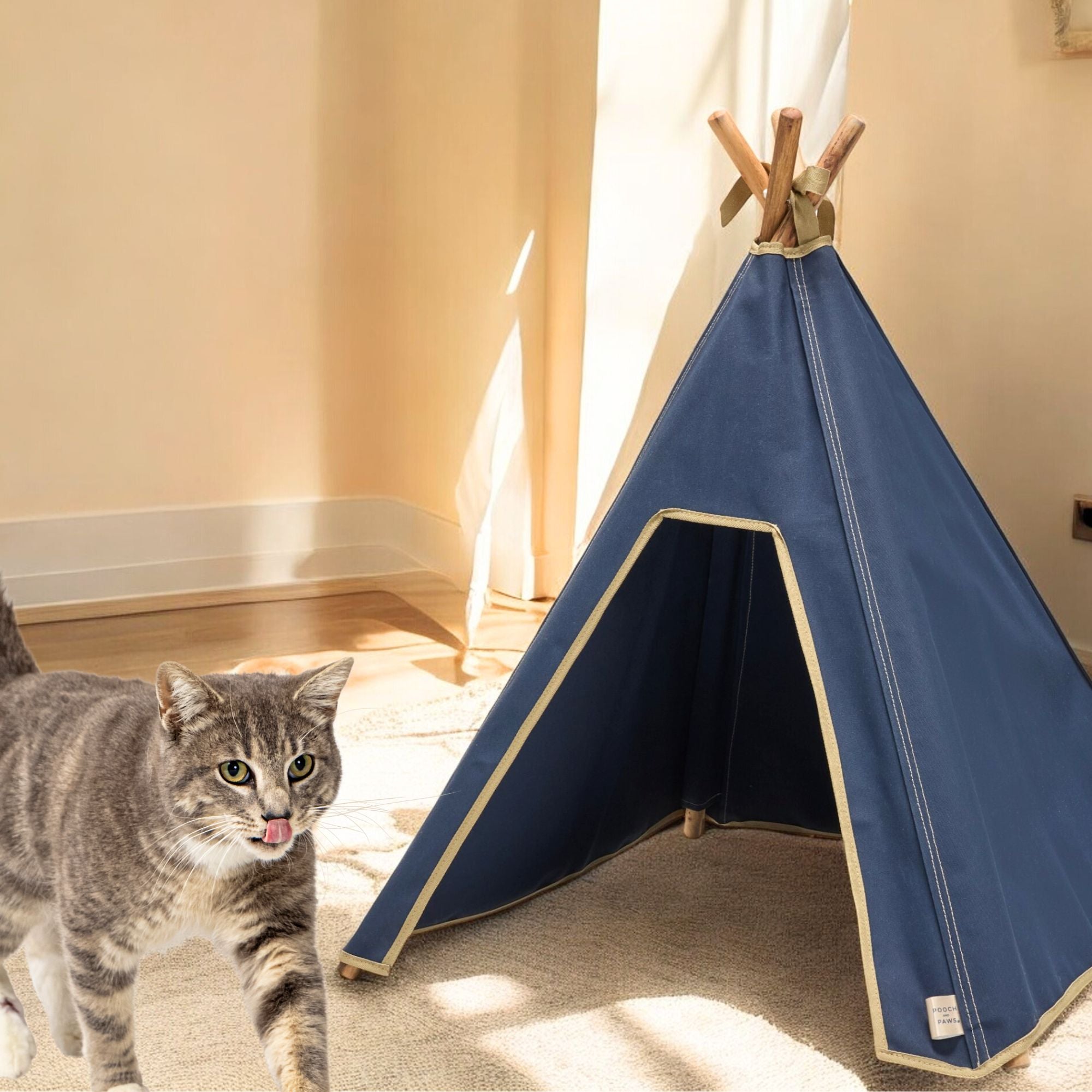 Cat Tent - Indoor Cat Teepee Tent - 100% Cotton Canvas (Navy Blue) - Pooch and Paws