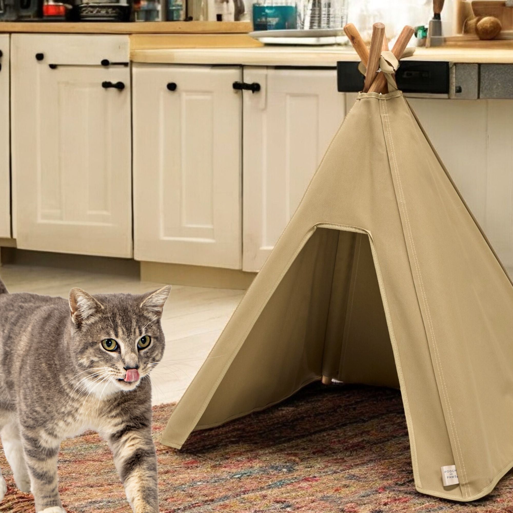 Cat Tent - Indoor/Outdoor Cat Teepee Tent - Strong, Waterproof Canvas - Pooch and Paws