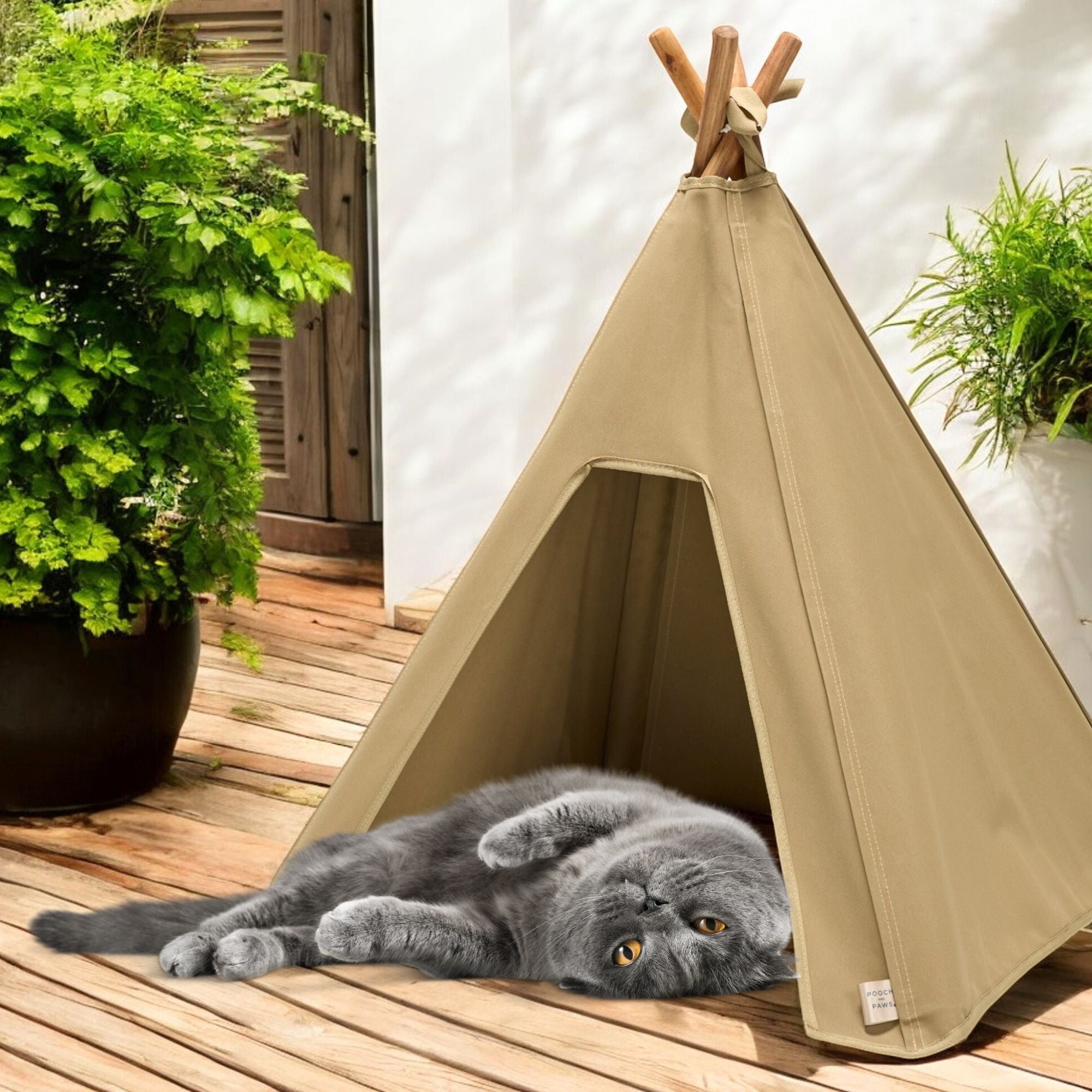 Cat Tent - Indoor/Outdoor Cat Teepee Tent - Strong, Waterproof Canvas - Pooch and Paws