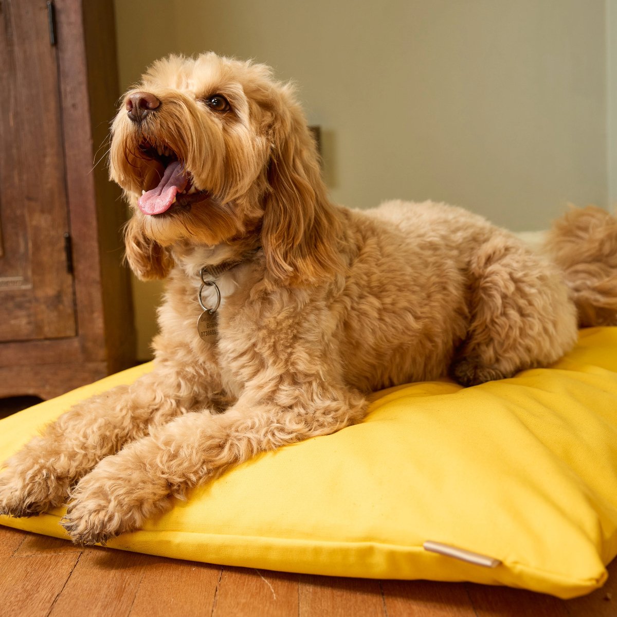 Dog Bed Cushion. Dog bed cockapoo. Dog Cushion medium yellow 