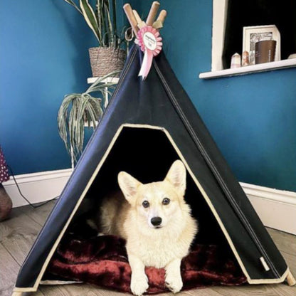 Dog Teepee Bed - Indoor - 100% Cotton Canvas (Navy Blue) - Pooch and Paws