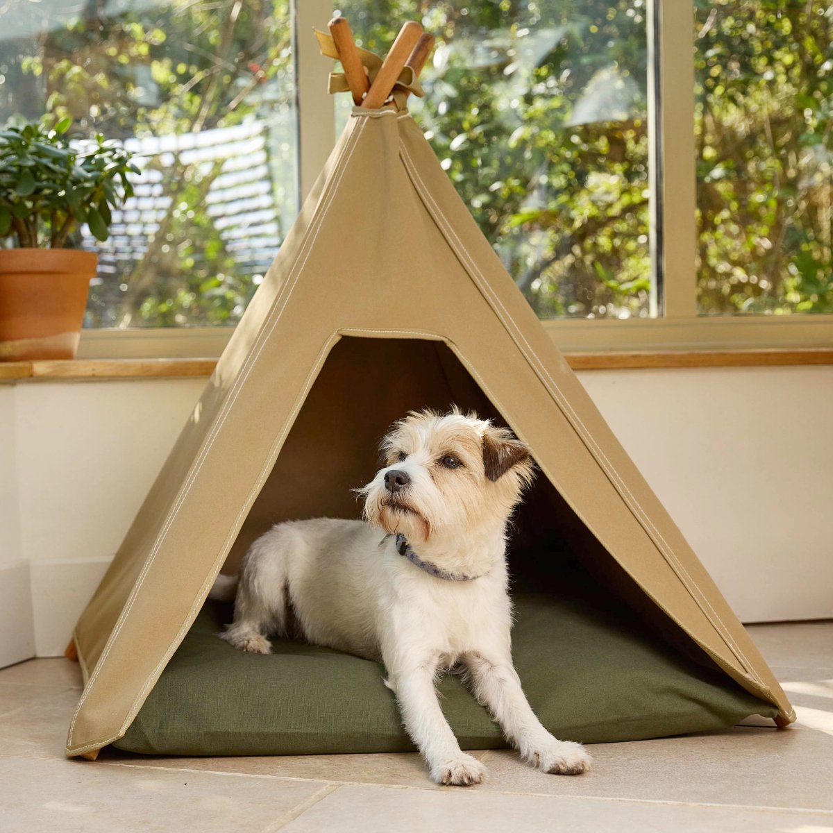 Dog teepee bed in light sand. Jack Russel dog bed. 