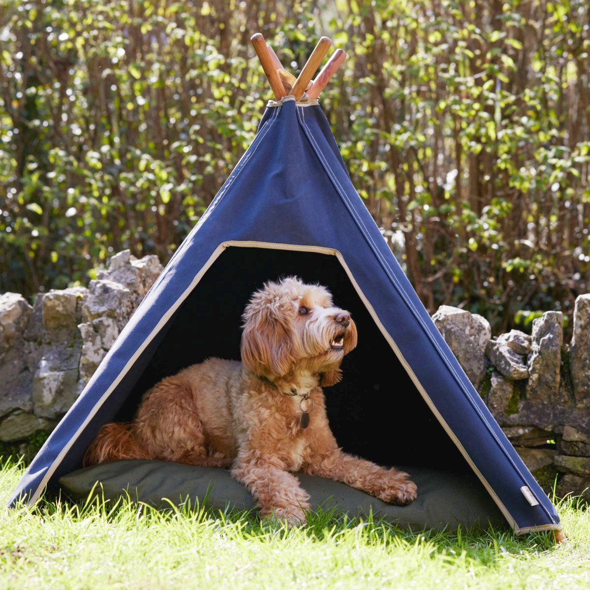 Outdoor dog teepee in navy blue. Cockapoo dog bed 