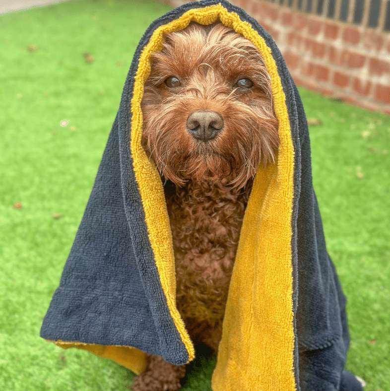 Dog Towel - Bamboo & Cotton Blend (Ultra - Absorbent) - Pooch and Paws