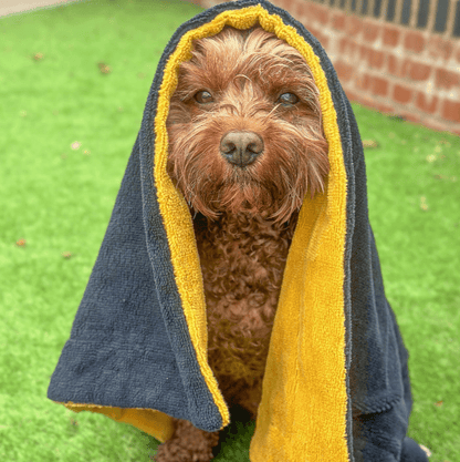 Absorbent dog towel made from bamboo and cotton with cavapoo model