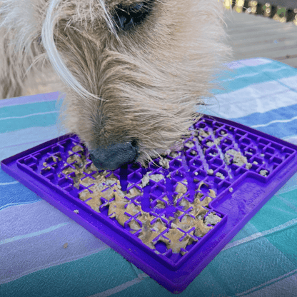 LickiMat Buddy - Slow Feeder Bowl Alternative - Pooch and Paws