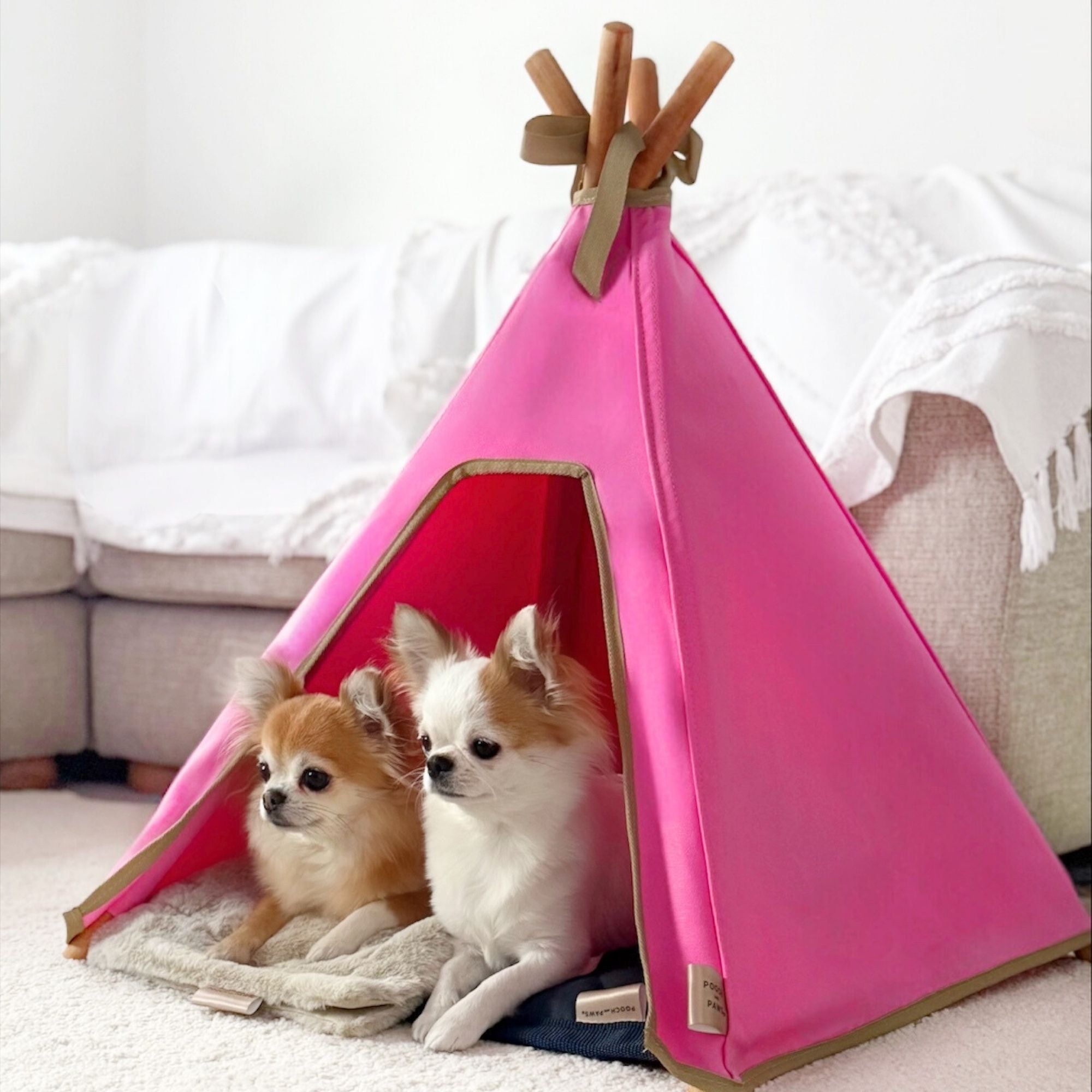 Pink Dog Bed Set - Dog Teepee, Mat & Blanket (Indoor, 100% Cotton Canvas) - Pooch and Paws