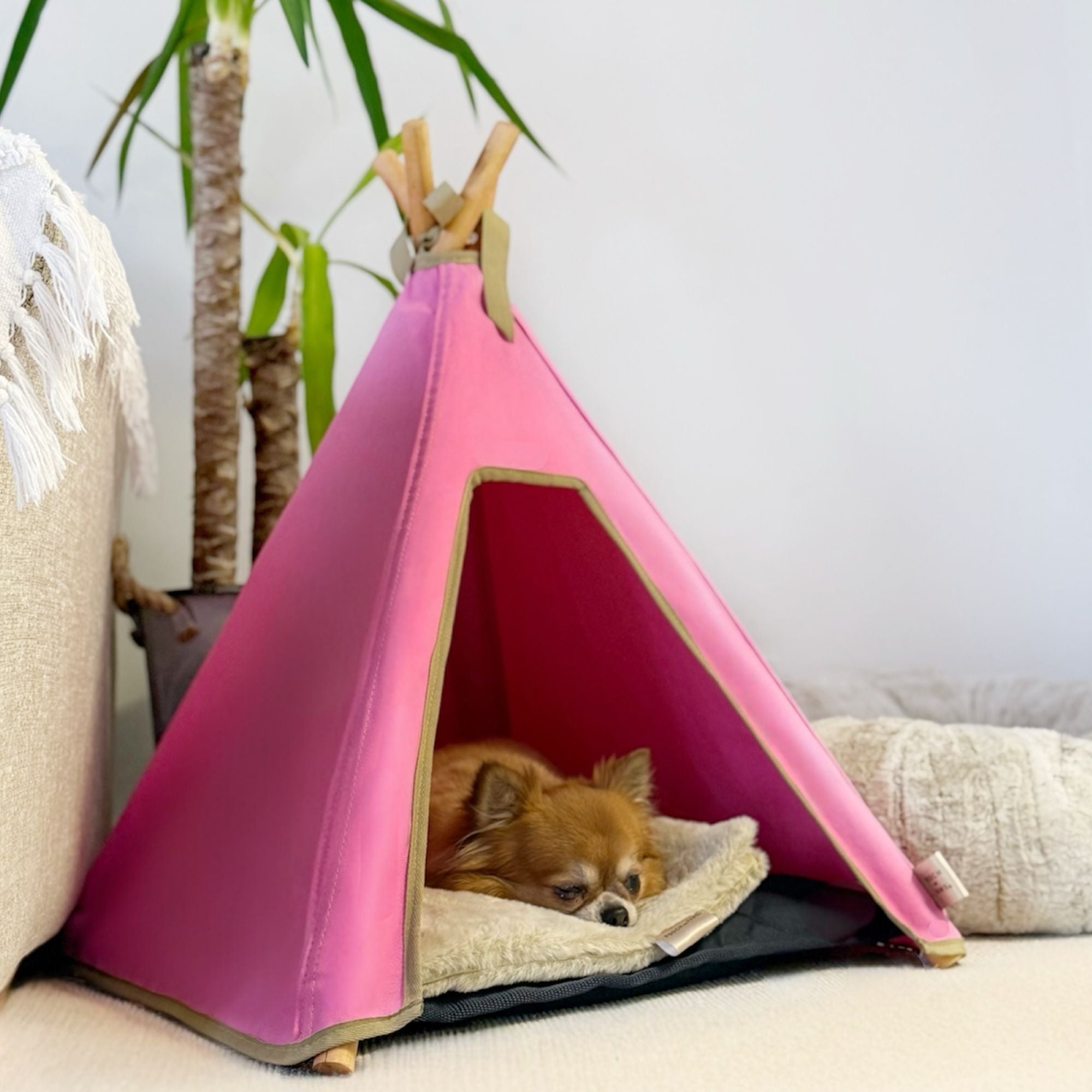 Pink Dog Bed Set - Dog Teepee, Mat & Blanket (Indoor, 100% Cotton Canvas) - Pooch and Paws