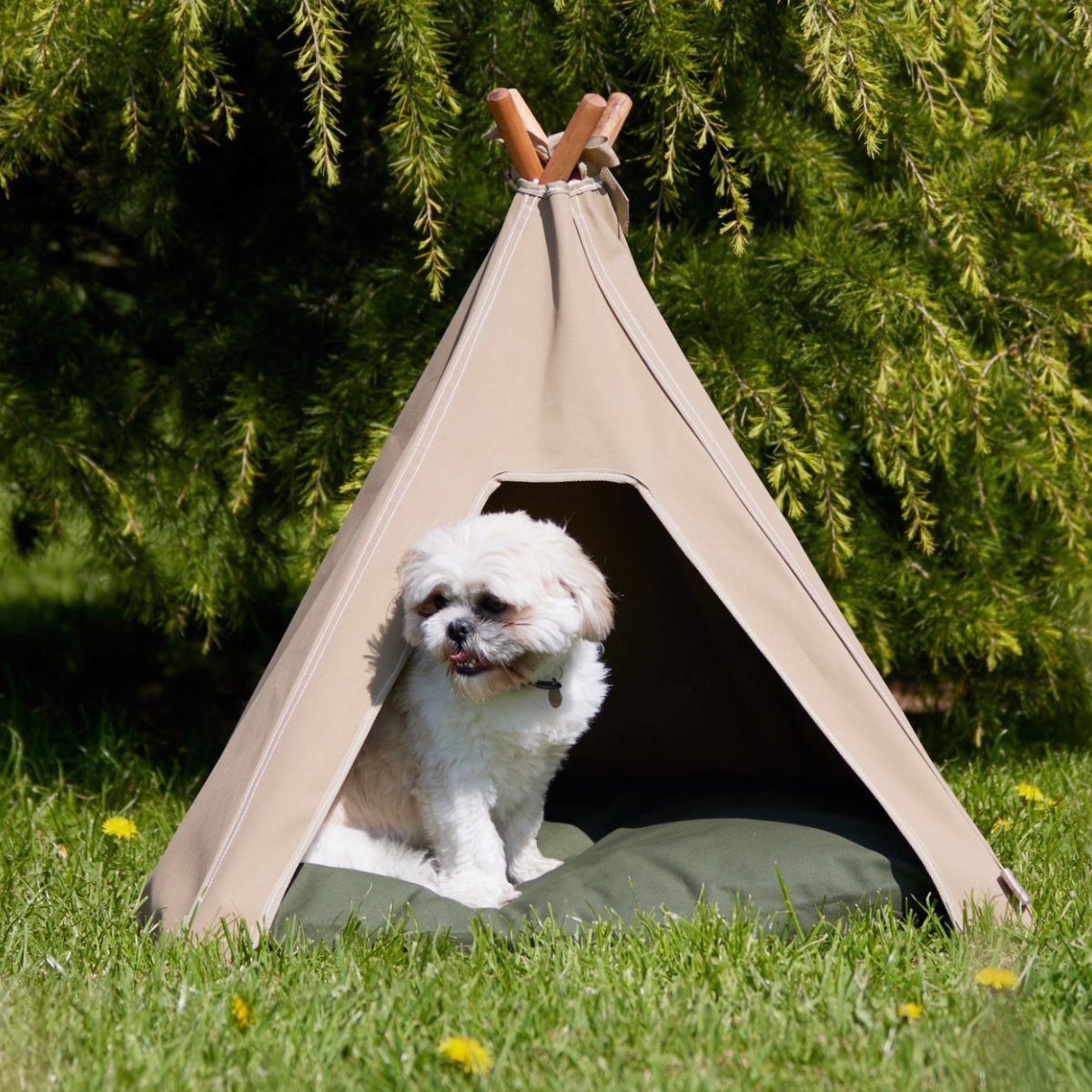 Outdoor dog bed. Dog in outdoor, waterproof dog teepee shading from sun 