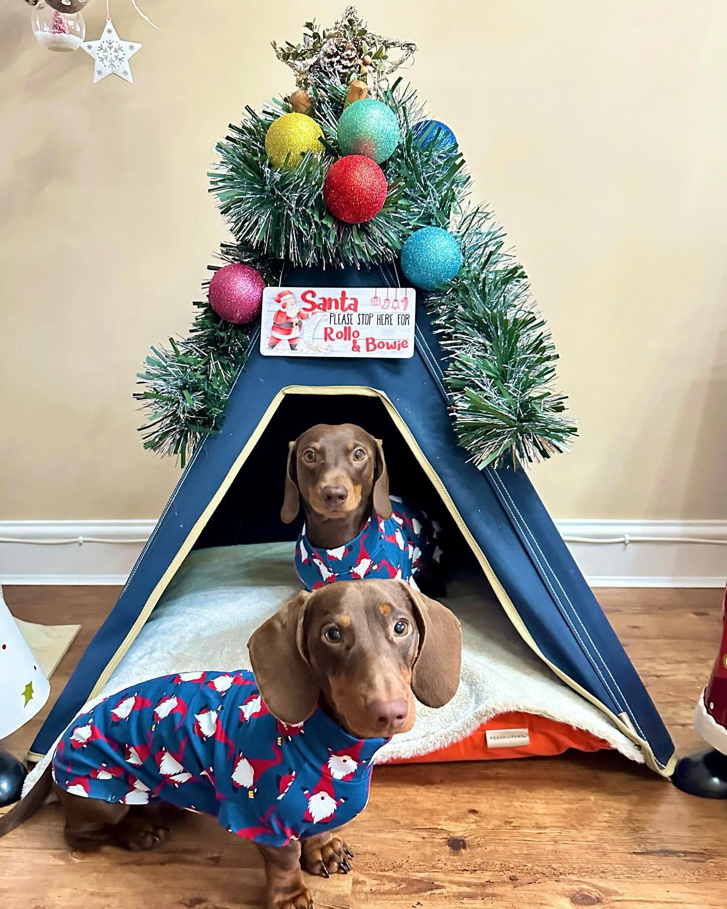 Teepee & Dog Mat Combination Set - Pooch and Paws