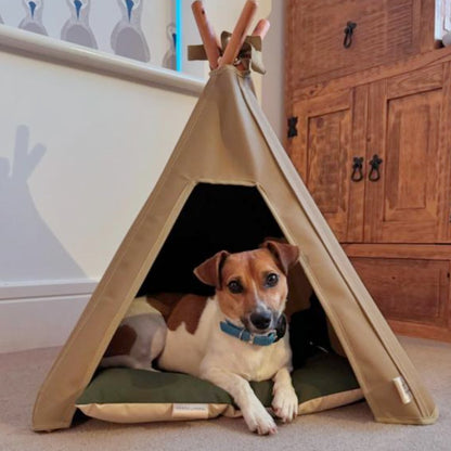 Teepee & Dog Mat Combination Set - Pooch and Paws