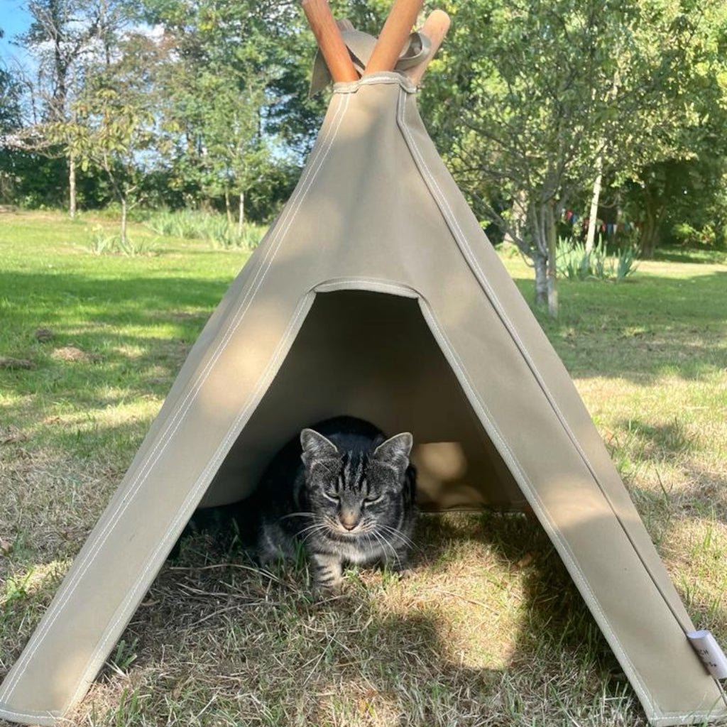 Cat teepee 2024 bed diy