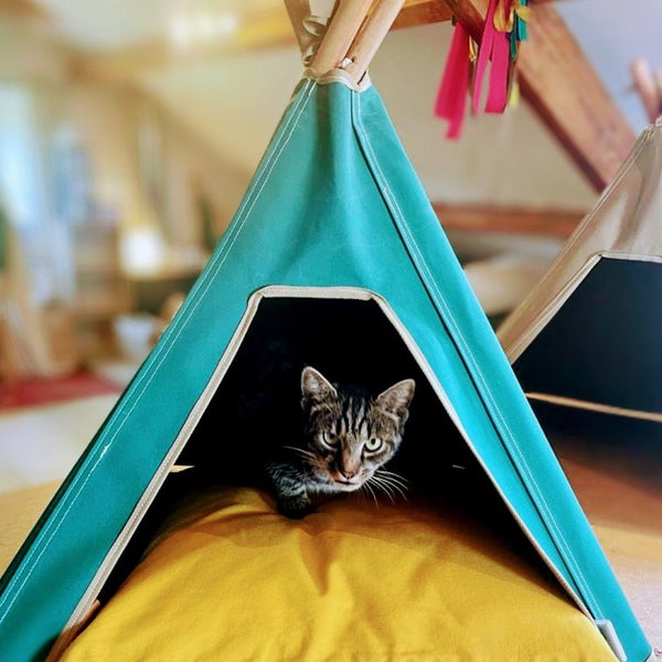 Cat Teepee Bed Teepee Cat Cushion Pooch and Paws