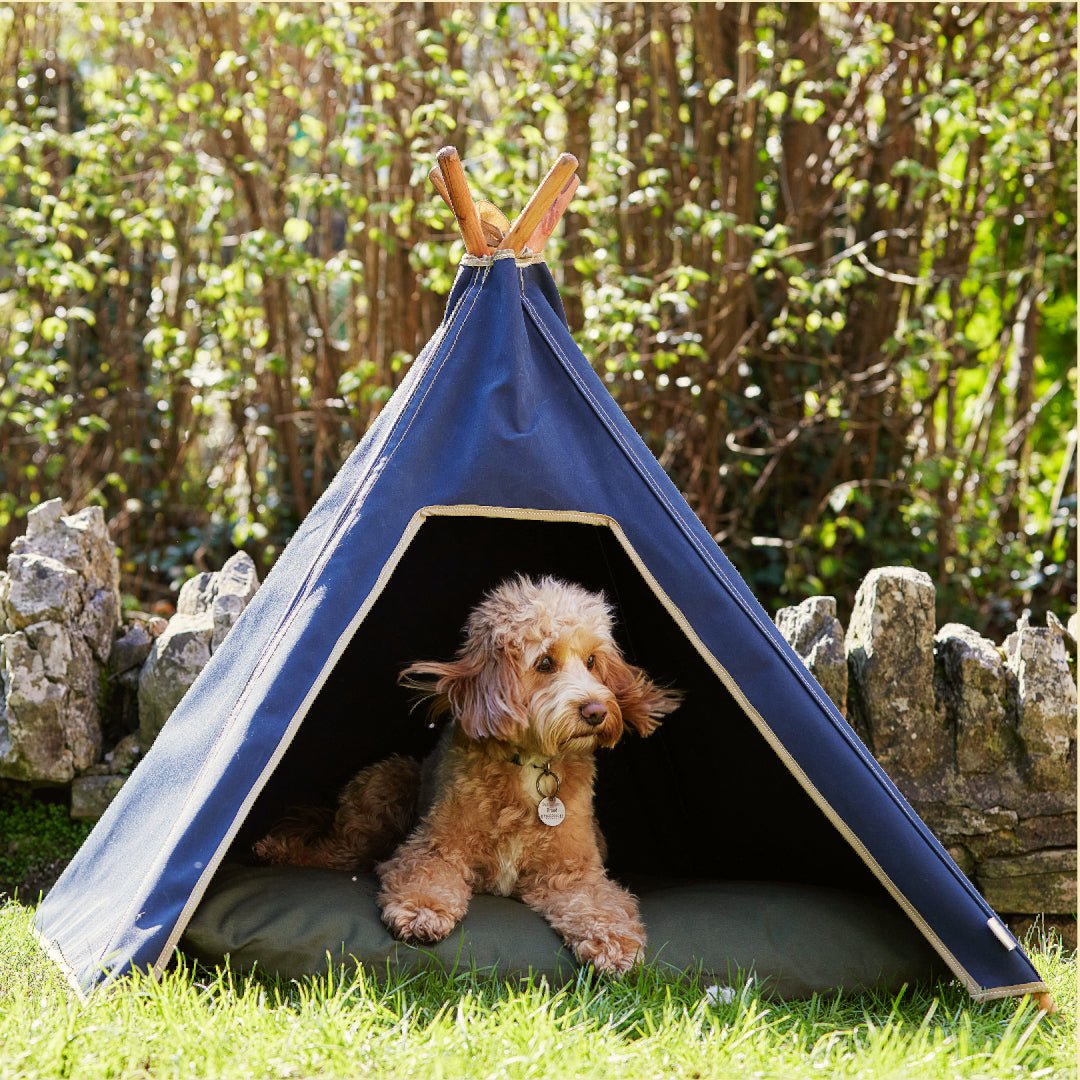 Dog Teepee - Pooch and Paws