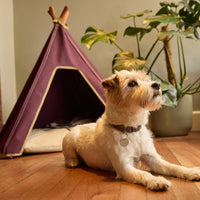 Dog bed. Dog teepee bed in burgundy with Jack Russel