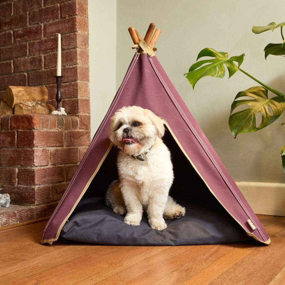Dog bed. Dog teepee bed in burgundy with Shih Tzu