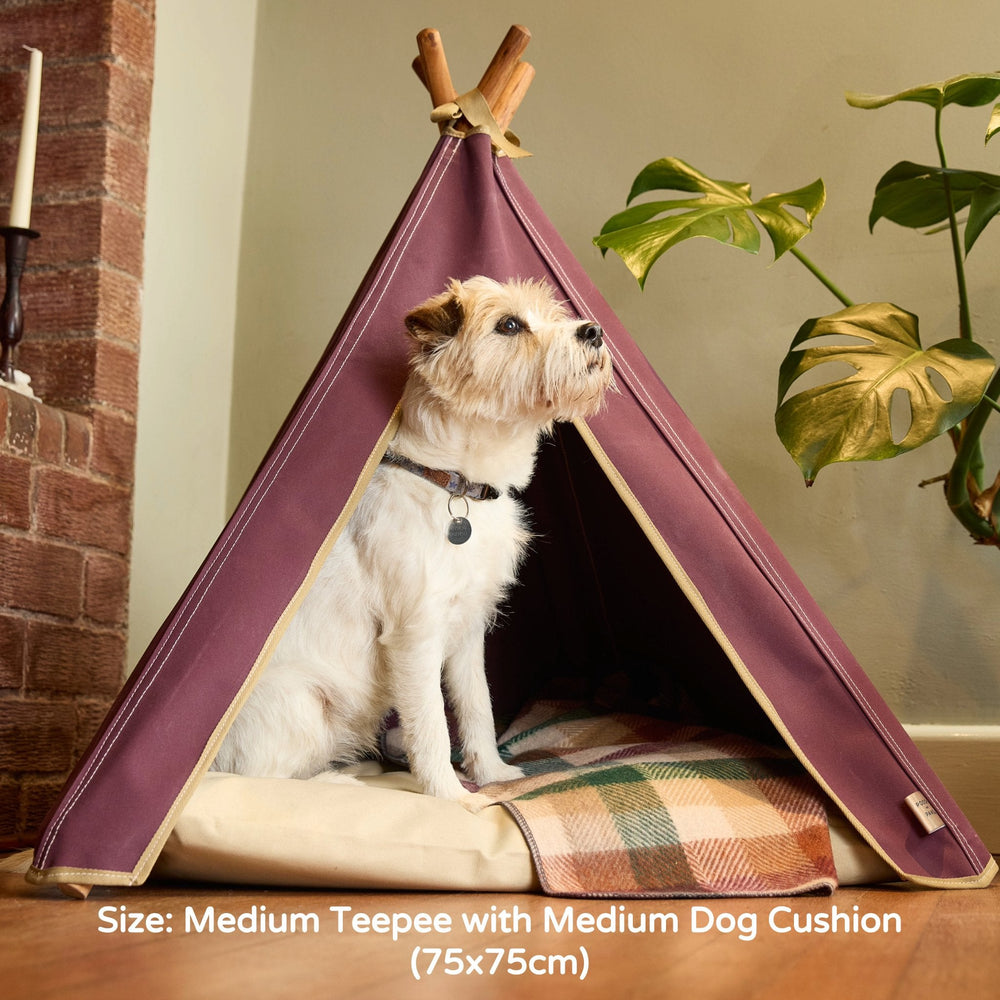 Dog bed. Dog teepee bed in burgundy with Jack Russel