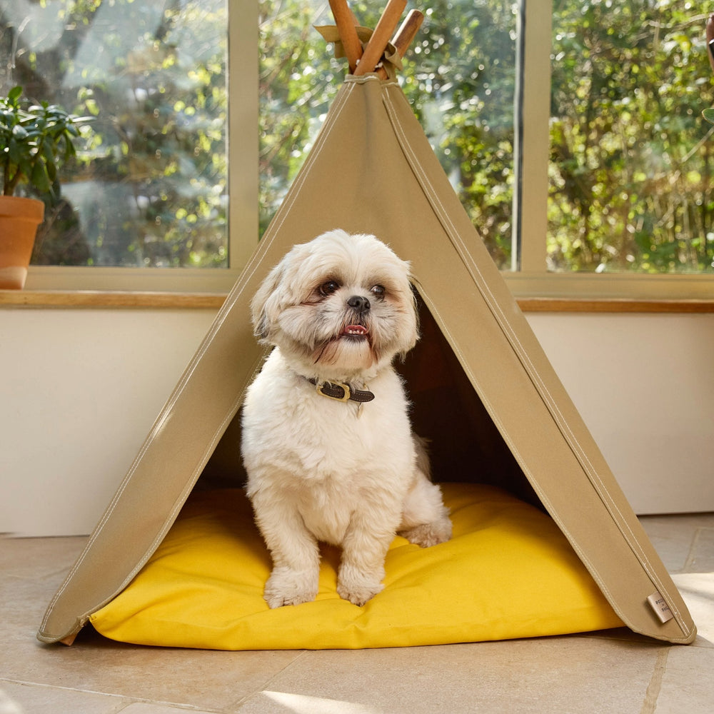 Dog bed. Dog teepee bed in light sand with Shih Tzu