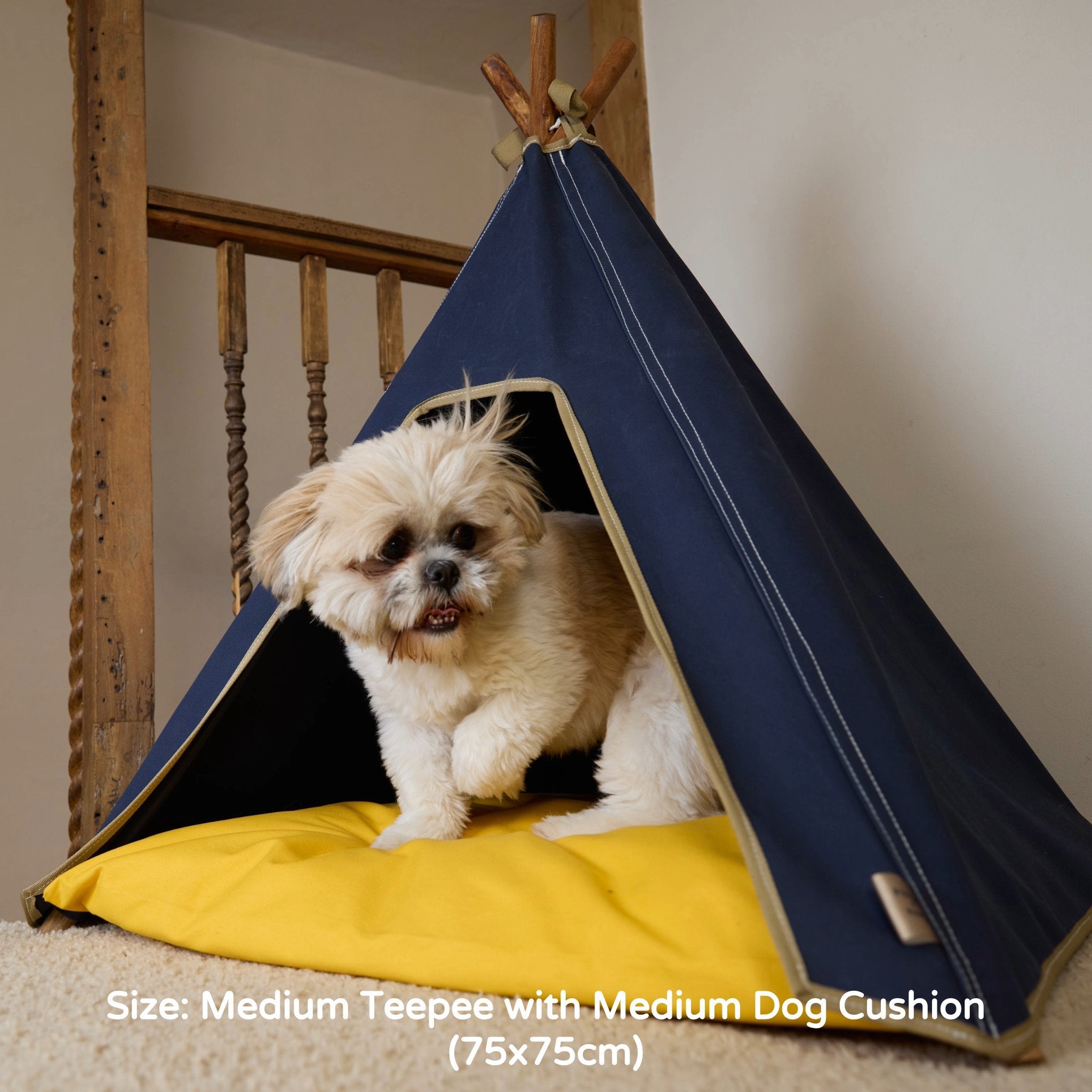 Dog Teepee and Cushion Bed Combination - Navy Blue | Pooch and Paws