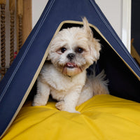 Dog Teepee and Cushion Bed Combination - Navy Blue - Pooch and Paws